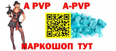 СК Новодвинск