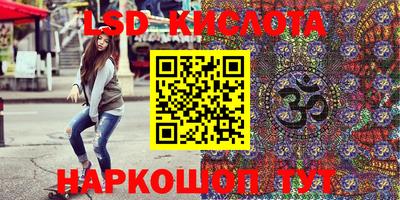 СК Новодвинск