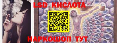 СК Новодвинск