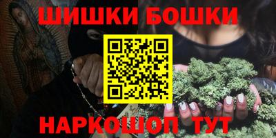 СК Новодвинск