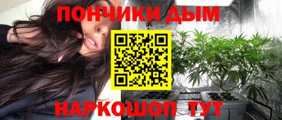СК Новодвинск