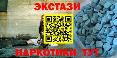 СК Новодвинск