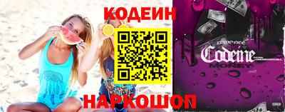 СК Новодвинск