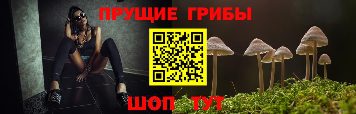 Псилоцибиновые грибы Magic Shrooms Ставрополь