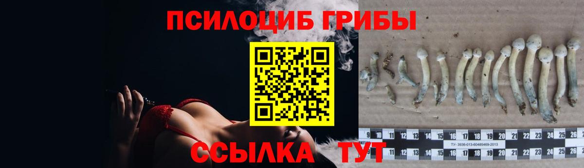 Псилоцибиновые грибы MAGIC MUSHROOMS  Галлюциногенные грибы прущие грибы  Вход с VPN  Ставрополь 